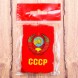 Magnet Wappen "UdSSR", 8 x 5 cm